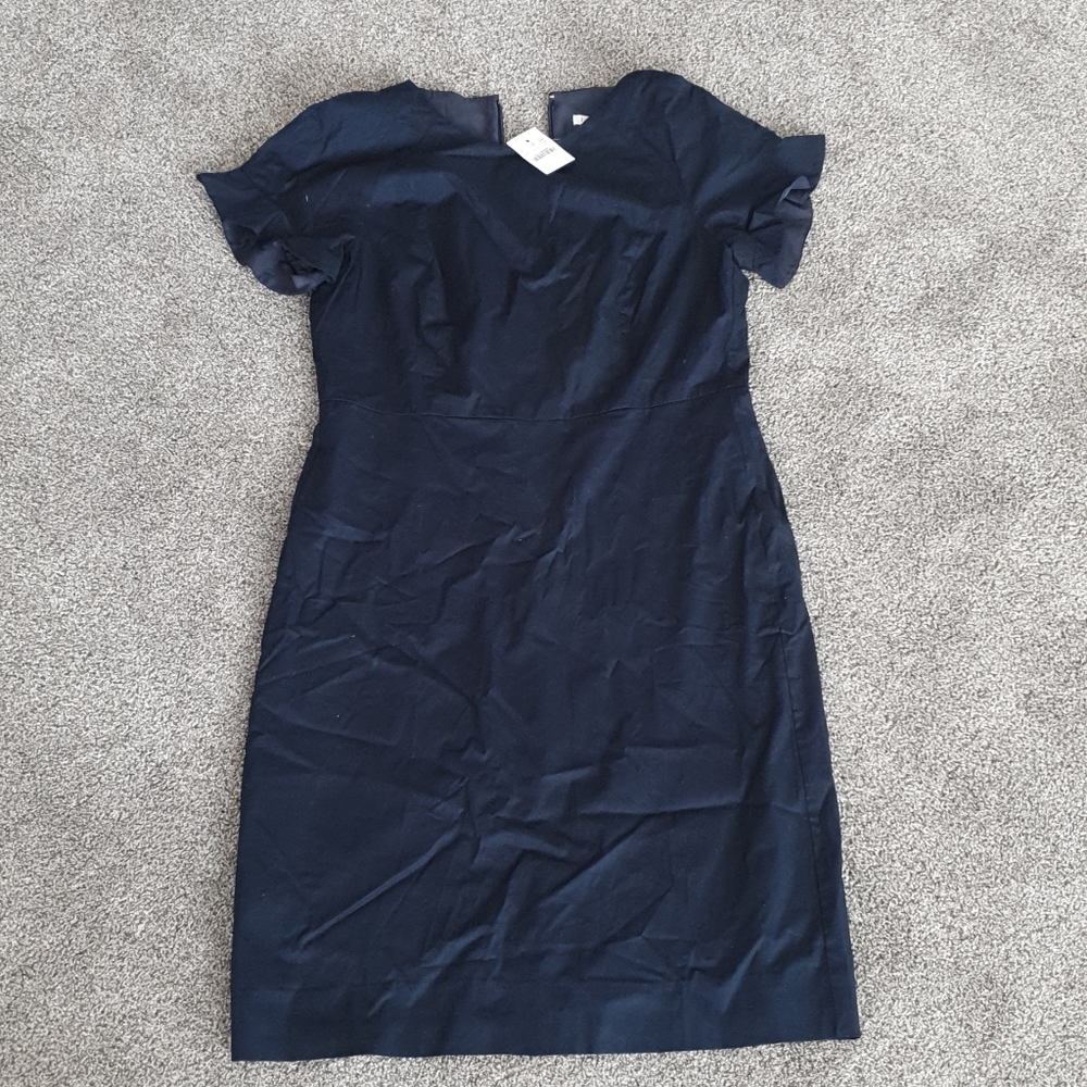 J Crew dress